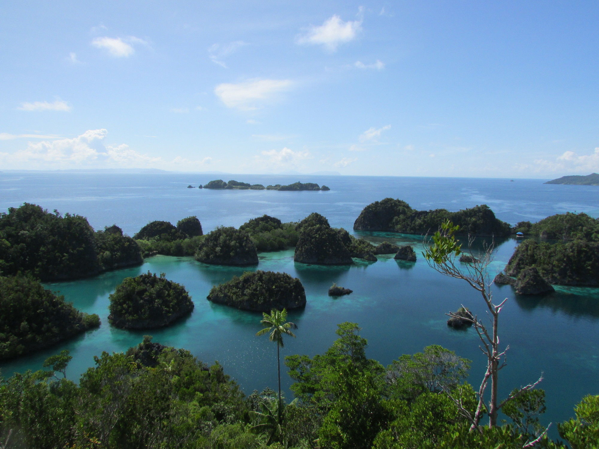 Swiss-Belhotel Sorong Dış mekan fotoğraf